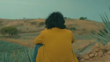 Задник до фильму"Agaves al alba" #477741