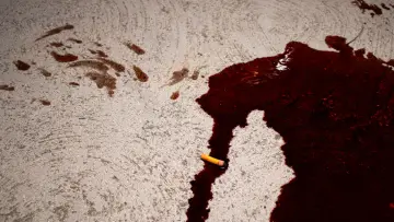 Задник до фильму"Blood Money Blues" #418488