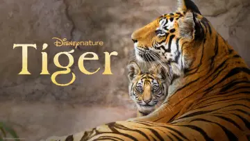 Задник до фильму"Tiger" #739235