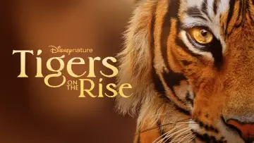 Задник до фільму "Tigers on the Rise" #1077541