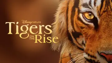 Задник до фільму "Tigers on the Rise" #1077542