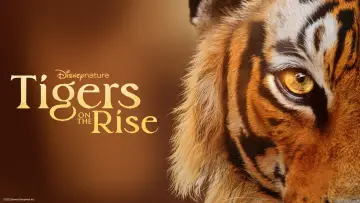Задник до фільму "Tigers on the Rise" #1077544