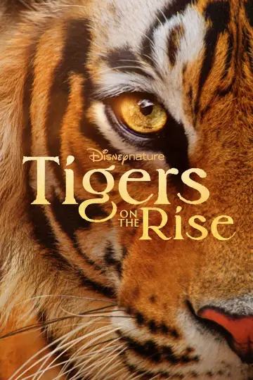 Постер до фільму "Tigers on the Rise" #1077551