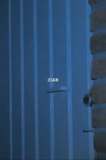 Постер до фильму"256B" #1057050