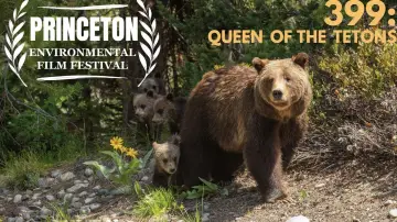 Задник до фильму"399: Queen of the Tetons" #469703