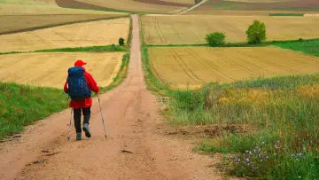Задник до фильму"The Way, My Way" #1092778