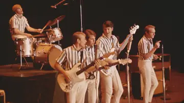 Задник до фильму"The Beach Boys" #472554