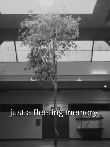 just a fleeting memory. постер