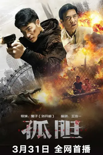 Постер до фильму"孤胆" #448809