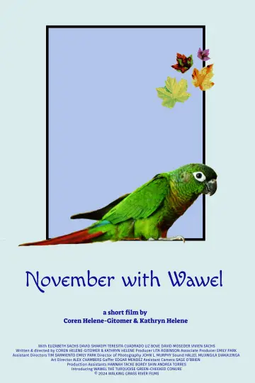 Постер до фільму "November with Wawel" #1086296