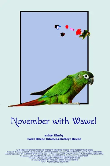 November with Wawel постер