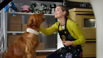 Задник до фильму"Everything Puppies" #487758
