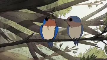 Задник до фільму "Birds" #1574487