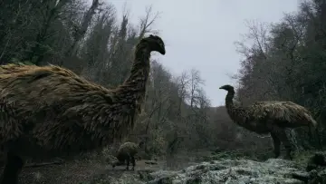 Задник до фільму "Le mystère des oiseaux géants" #1089218