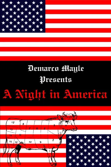 Постер до фильму"A Night in America" #449541