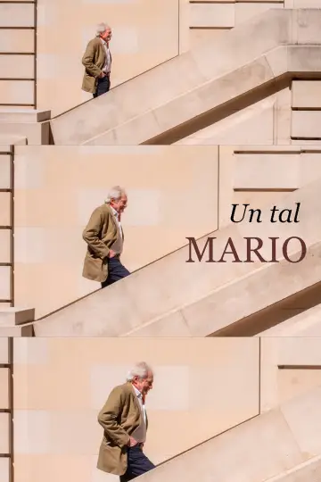 Un tal Mario постер