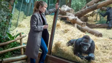 Tatort: Von Affen und Menschen постер
