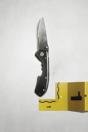 Постер до фильму"The Knife" #553848