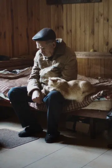 Зшиті кроки