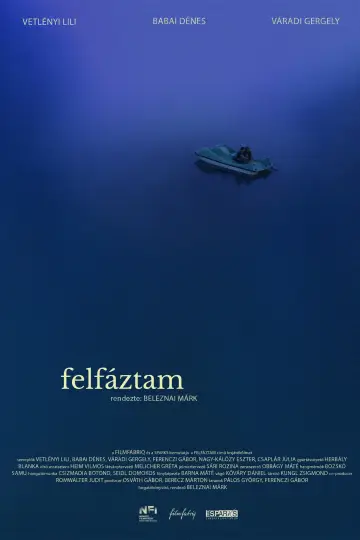 Felfáztam постер