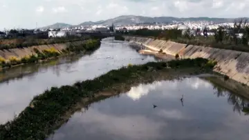 Задник до фільму "γέννημα θρέμμα Δεντροπόταμος" #1107531