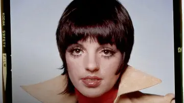 Задник до фильму"Liza: A Truly Terrific Absolutely True Story" #738499