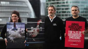 Задник до фильму"Joaquin Phoenix — Schauspieler der Extreme" #1101230