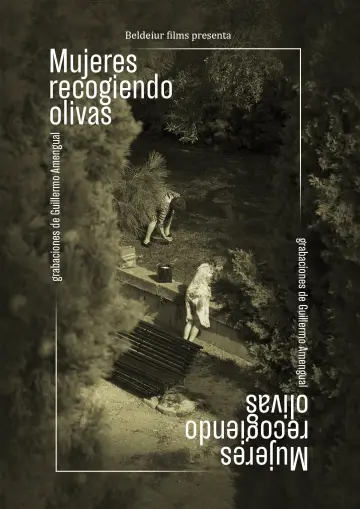 Mujeres recogiendo olivas постер