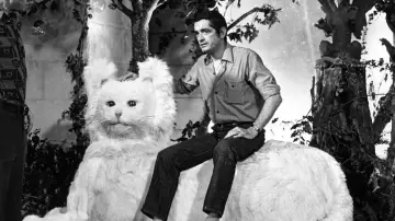 Задник до фильму"Jacques Demy, le rose et le noir" #1105489
