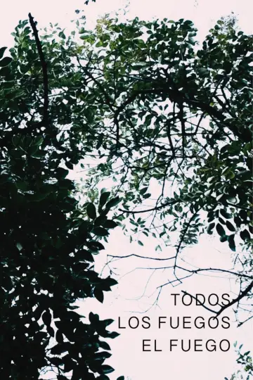 Постер до фильму"Todos los fuegos el fuego" #468515