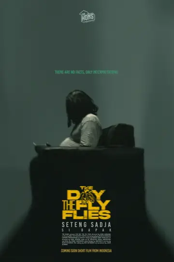The Day The Fly Flies постер