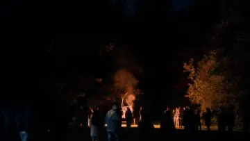 Задник до фільму "All is Fine in 