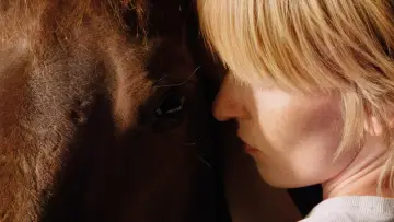 Задник до фильму"Comme des cowboys" #1112538