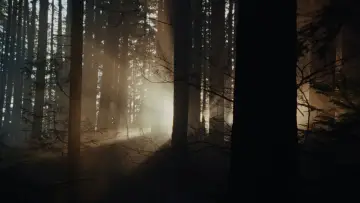 Задник до фильму"Хранитель" #514441