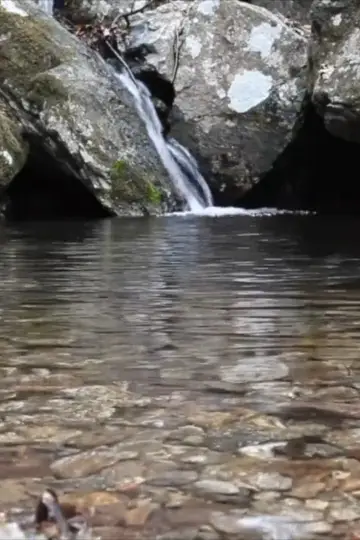 Постер до фильму"Water, Star Medicine" #477683