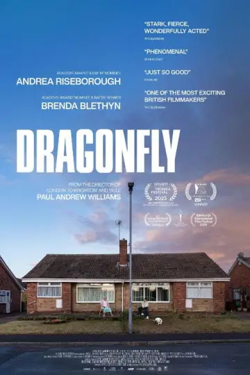Постер до фильму"Dragonfly" #692828