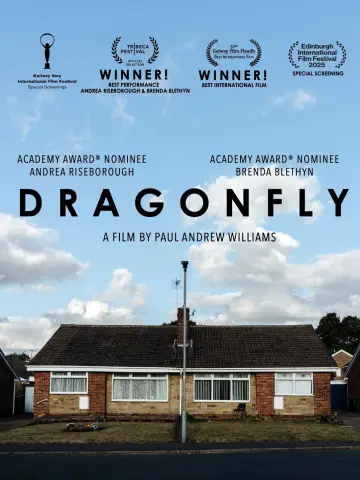 Постер до фильму"Dragonfly" #692829