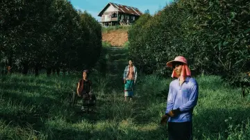 Задник до фильму"วิมานหนาม" #700388