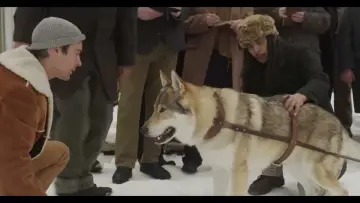 Задник до фильму"Jack London’s Son of the Wolf" #489062