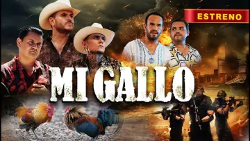 Задник до фільму "Mi Gallo" #1195502