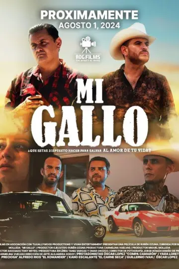 Mi Gallo постер