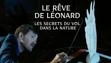 Задник до фильму"Le rêve de Léonard : Les secrets du vol dans la nature" #477580
