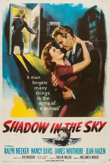 Постер до фильму"Shadow in the Sky" #1167484