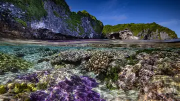 Задник до фильму"Protecting Paradise: The Story of Niue" #737823