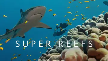Задник до фільму "Super Reefs" #1138343
