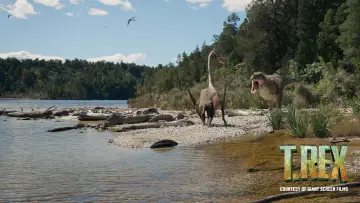 Задник до фільму "T. REX" #1117625