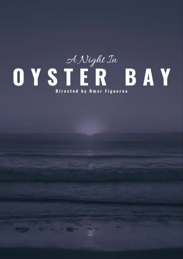 A Night in Oyster Bay постер