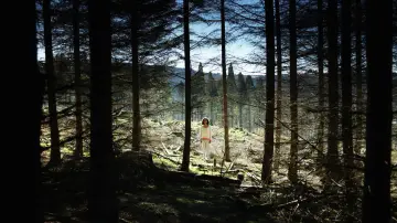 Im Rosengarten постер