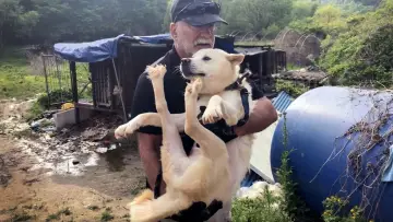 Задник до фильму"Dog War" #490765