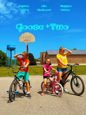 Goose + 2 постер